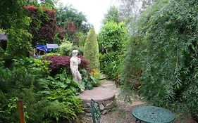 Fernlea Bed And Breakfast